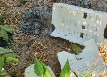 Litorale di Canale senza pace: rifiuti dappertutto e fuochi accesi tra la vegetazione