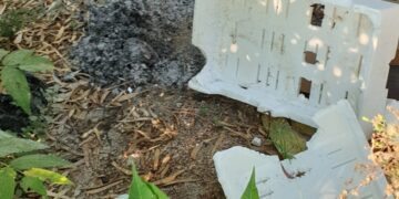 Litorale di Canale senza pace: rifiuti dappertutto e fuochi accesi tra la vegetazione