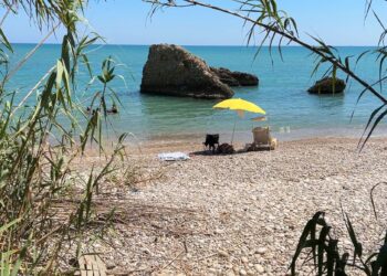 La riviera di Canale dopo lo sgombero: bagnanti e auto. «La usavano come seconda casa»