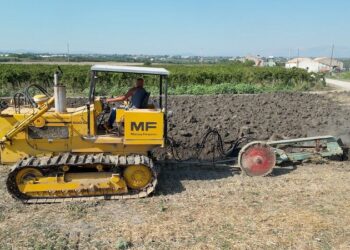 «Per noi agricoltori del Vastese un’altra annata da dimenticare»