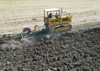 «Per noi agricoltori del Vastese un’altra annata da dimenticare»