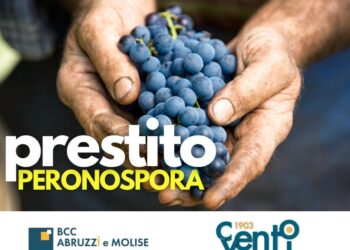 Peronospora, prestito speciale per i danni alle vigne