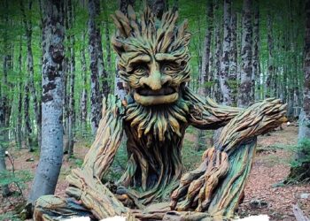 A Roccaraso nasce il “Bosco delle Meraviglie”, il 9 settembre l’inaugurazione