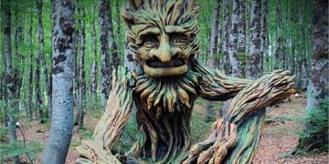 A Roccaraso nasce il “Bosco delle Meraviglie”, il 9 settembre l’inaugurazione