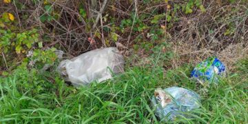 San Salvo, nuove fototrappole per contrastare il “lancio selvaggio della busta”