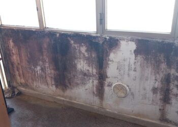 «Piove in casa e muffa sui muri, chiedo lavori da anni»