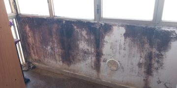 «Piove in casa e muffa sui muri, chiedo lavori da anni»