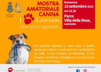 Il 10 settembre a Lanciano “Il tuo cane in passerella” al parco Villa delle Rose