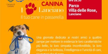Il 10 settembre a Lanciano “Il tuo cane in passerella” al parco Villa delle Rose