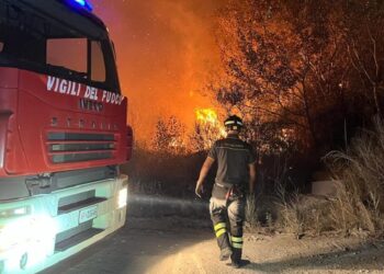 Incendio vicino alla Trignina brucia ettari di vegetazione