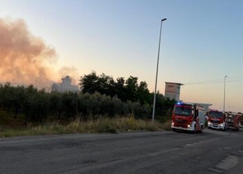 Incendio nella zona industriale di San Salvo: rogo vicino a un’impresa di imballaggi