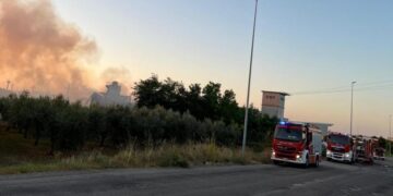 Incendio nella zona industriale di San Salvo: rogo vicino a un’impresa di imballaggi