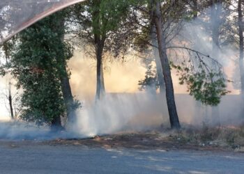 Incendio nella zona industriale di San Salvo: a fuoco area con sterpaglie e pini