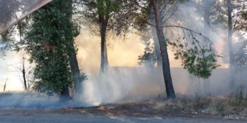 Incendio nella zona industriale di San Salvo: a fuoco area con sterpaglie e pini