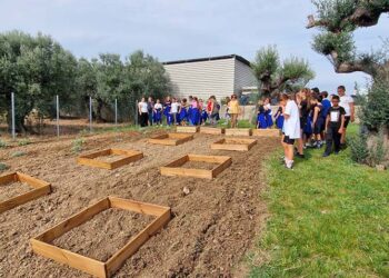 Piccoli alunni alle prese con la cura dell’orto, alla “Melvin Jones” un nuovo spazio all’aperto