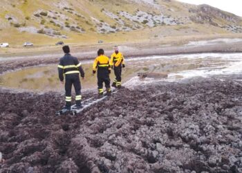 Laghetti di Campo Imperatore prosciugati dal caldo, il bestiame resta intrappolato