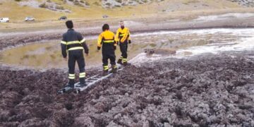 Laghetti di Campo Imperatore prosciugati dal caldo, il bestiame resta intrappolato