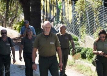 «So di aver sbagliato, ma no a minacce». Cuccioli Amarena, corsa contro il tempo per la cattura