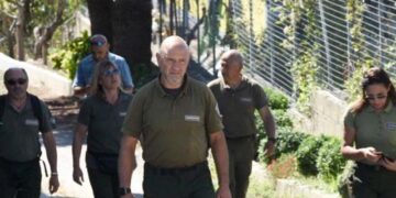 «So di aver sbagliato, ma no a minacce». Cuccioli Amarena, corsa contro il tempo per la cattura