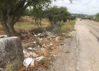 «Bene la ciclabile, ma in via Buonanotte situazione repulsiva. Restituire dignità ai luoghi»