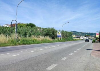 «Strade sporche e pericolose, marciapiede dissestato: attraversare è un’impresa»