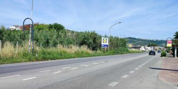 «Strade sporche e pericolose, marciapiede dissestato: attraversare è un’impresa»