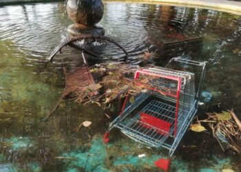 Carrello della spesa e tavoli nella vasca del parco, Borrelli: «Vandali ripresi dalle telecamere»