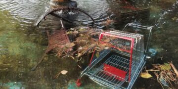 Carrello della spesa e tavoli nella vasca del parco, Borrelli: «Vandali ripresi dalle telecamere»