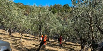 Oliveto a fuoco a Castiglione Messer Marino, i vigili del fuoco evitano il peggio