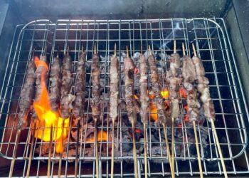 Arrosticino abruzzese, l’eurodeputata De Blasis chiede il marchio Dop