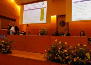 Schael tra relazione di fine mandato e futuro: «La priorità è costruire nuovi ospedali»