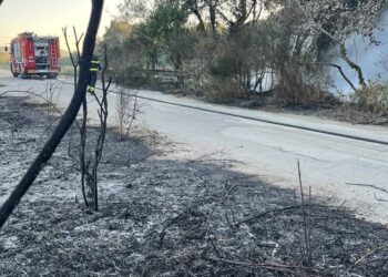 Rogo brucia un ettaro e mezzo in contrada Zimarino, pneumatici tra la vegetazione