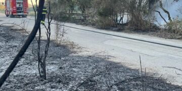 Rogo brucia un ettaro e mezzo in contrada Zimarino, pneumatici tra la vegetazione