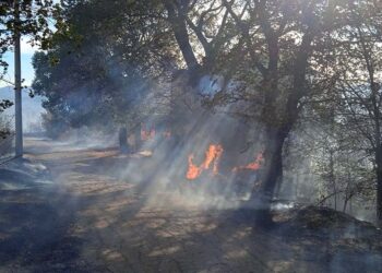 Fiamme vicino alla stazione Vasto-San Salvo, treni fermi per due ore e 40. Rogo a Guilmi, 3 canadair in azione