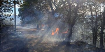 Fiamme vicino alla stazione Vasto-San Salvo, treni fermi per due ore e 40. Rogo a Guilmi, 3 canadair in azione