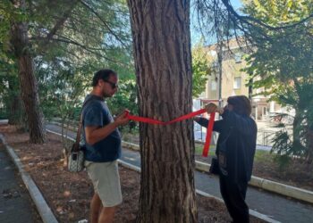 Parcheggio “Due Pini”, la protesta dei nastri rossi: «No all’albericidio»