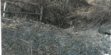 Leonzio: «Roghi di rifiuti in tre punti del territorio comunale»