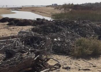«Rifiuti sul Torrente Buonanotte, pulizia solo parziale. Con le piogge finiranno in mare»