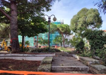 No al taglio dei pini, opposizione unita: la questione andrà in Consiglio comunale