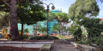 No al taglio dei pini, opposizione unita: la questione andrà in Consiglio comunale