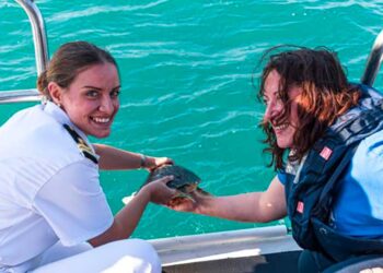 Tre “Caretta Caretta” rilasciate in mare dopo le cure