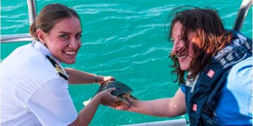 Tre “Caretta Caretta” rilasciate in mare dopo le cure