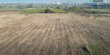 Quel sogno mai realizzato della città armonica Vasto-San Salvo: il piano Kurokawa