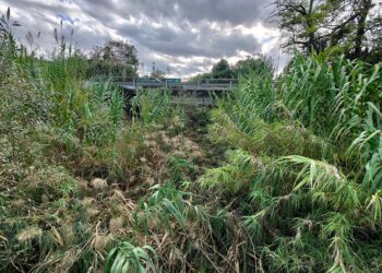 Dal Comune di Vasto arriva l’ok alla pulizia del Buonanotte. Nel torrente rifiuti e anche una bici