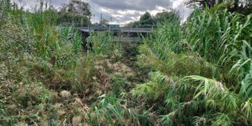 Dal Comune di Vasto arriva l’ok alla pulizia del Buonanotte. Nel torrente rifiuti e anche una bici