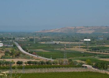 Raffica di furti nei campi della valle del Trigno, Cia: «Serve sorveglianza»