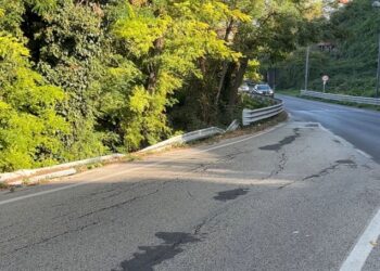 «I guardrail sprofondano, da 10 anni chiedo la messa in sicurezza del viadotto»