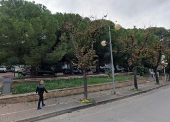 Villetta “Due Pini” senza pini: alberi da abbattere per rendere più sicuri i percorsi pedonali