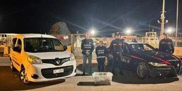 Ancora pescatori di frodo in azione: sequestrati 50 kg di polpi e l’attrezzatura