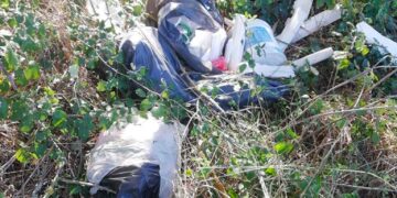 «Rifiuti abbandonati sull’argine del canale, pericolo di incendio»